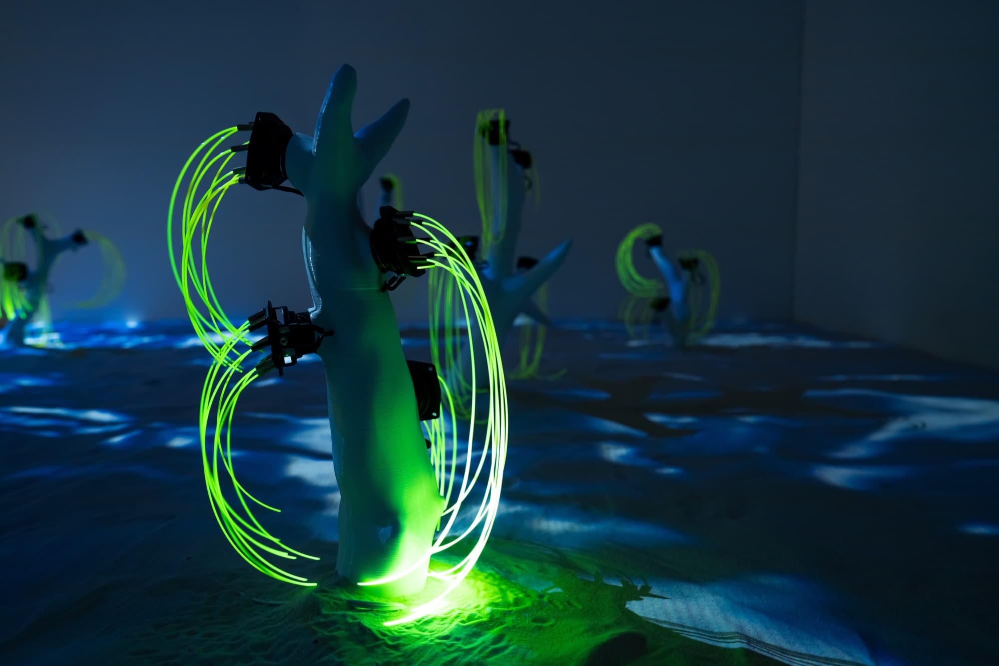 CORALS sculpture detail