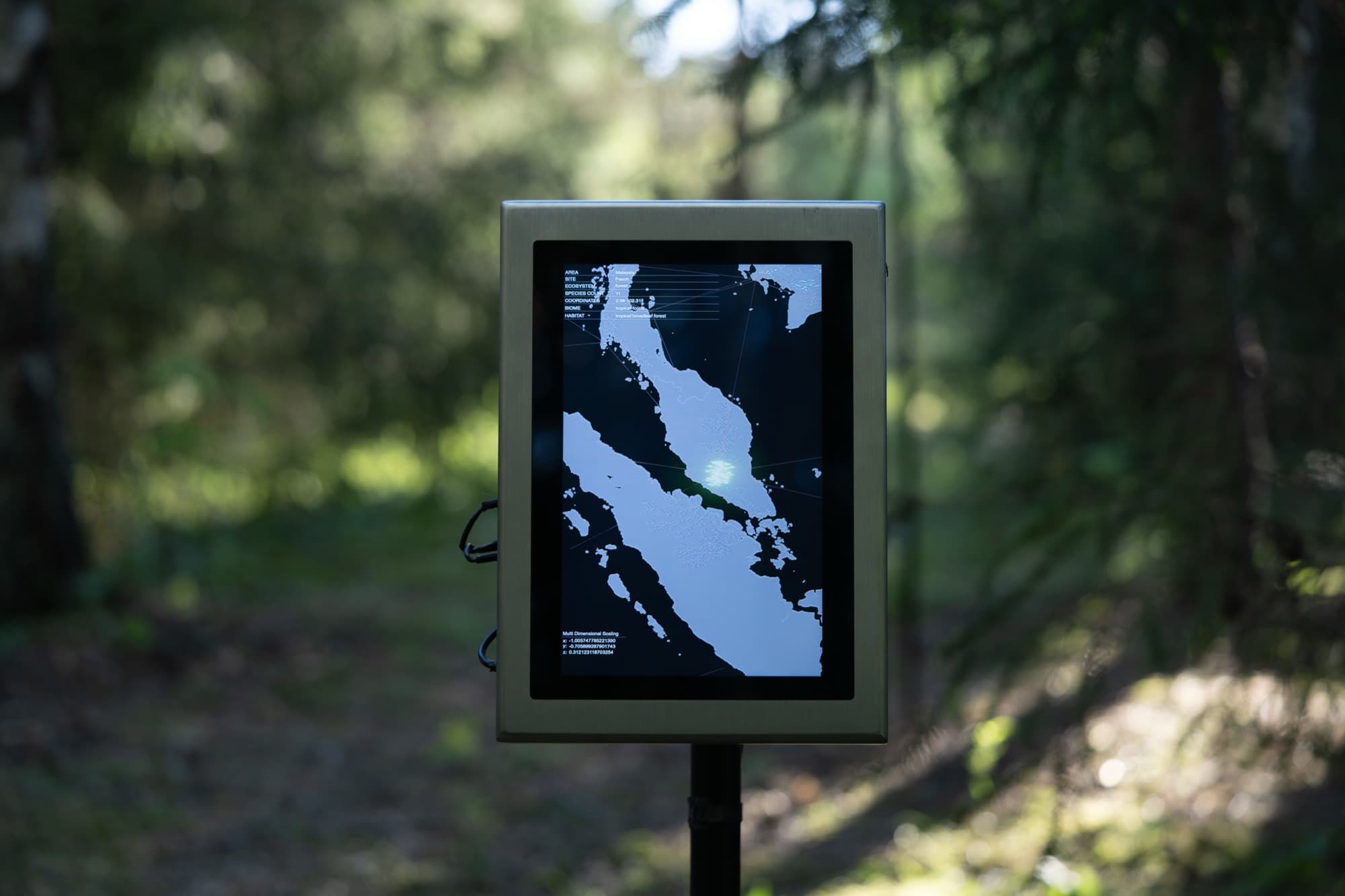 FUNGI sculpture detail