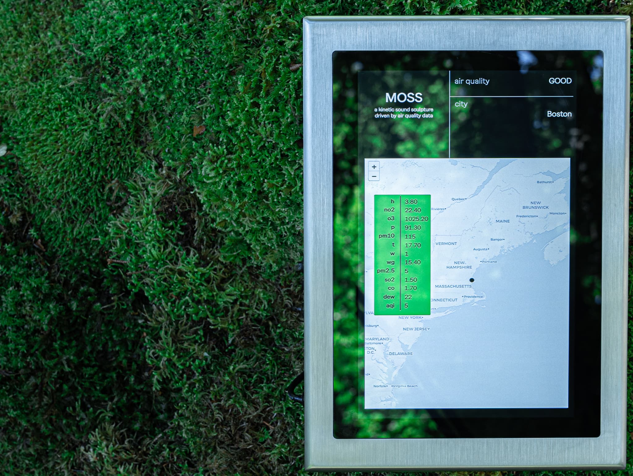 MOSS installation view